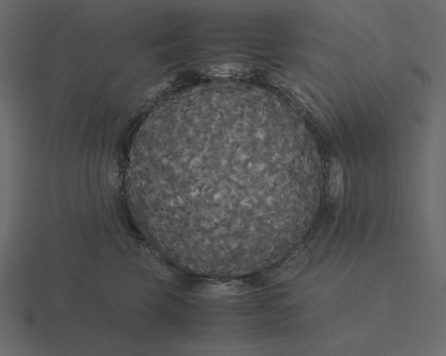 X0000116580569200912241656