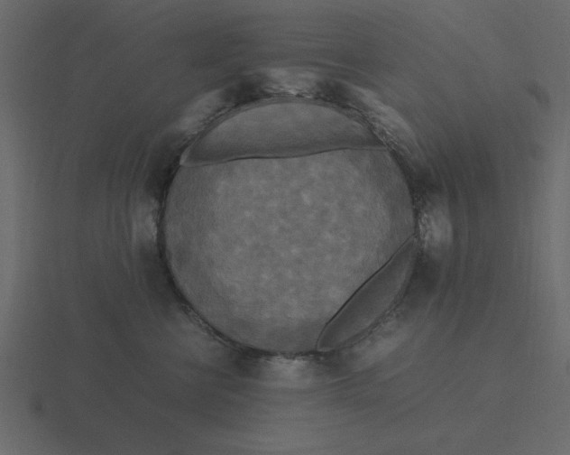 X0000116580570200912241656