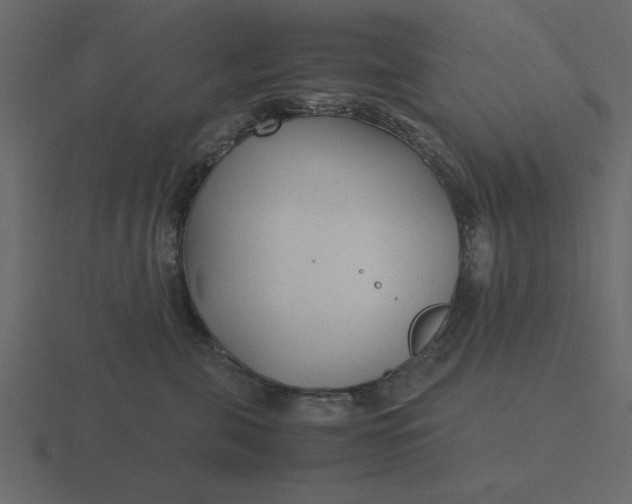 X0000116580571200912241656