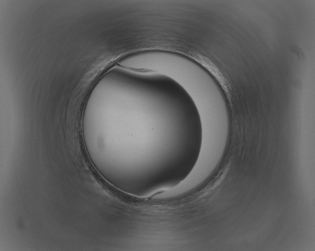 X0000116580577200912241656