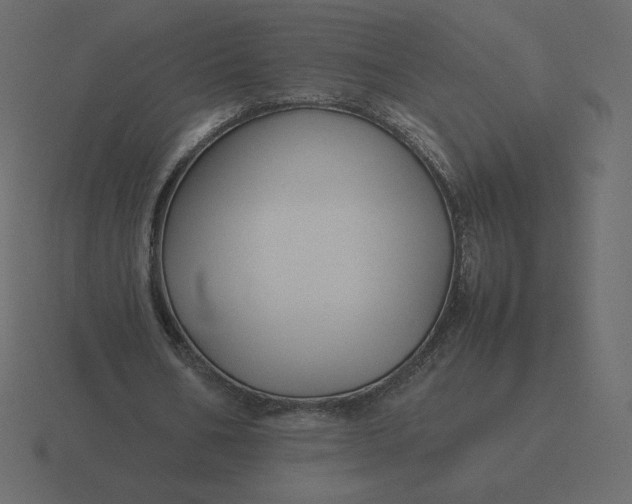 X0000116580578200912241656