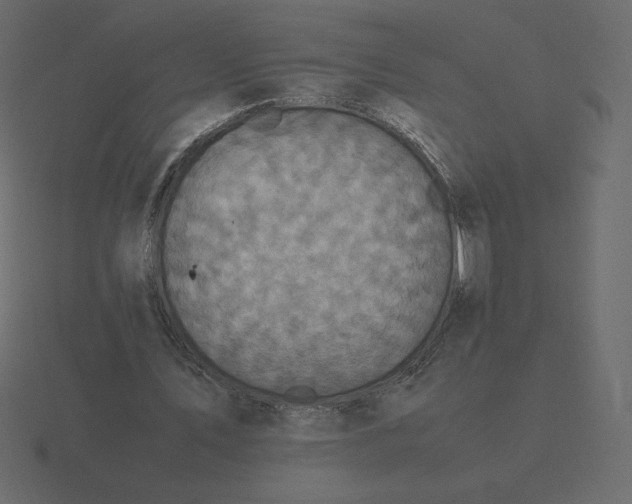 X0000116580579200912241656