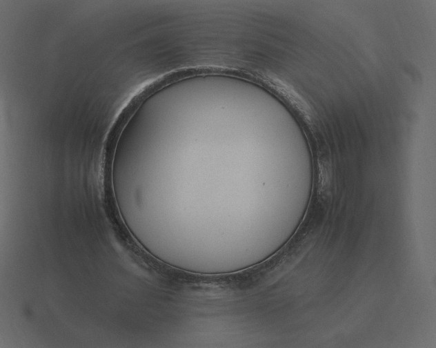 X0000116580580200912241656