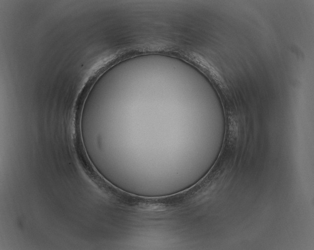 X0000116580582200912241656