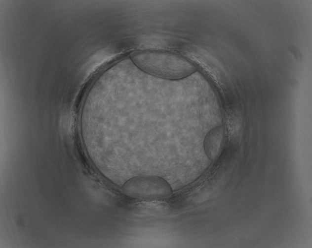 X0000116580583200912241656