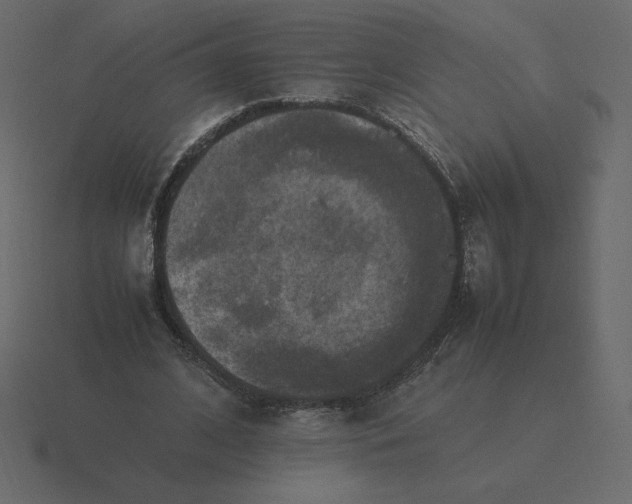 X0000116580584200912241656