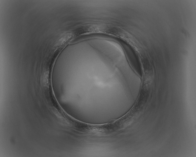 X0000116580585200912241656