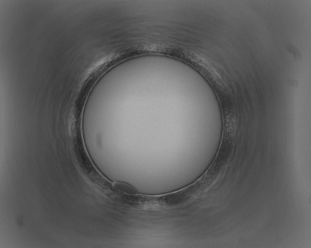 X0000116580587200912241656