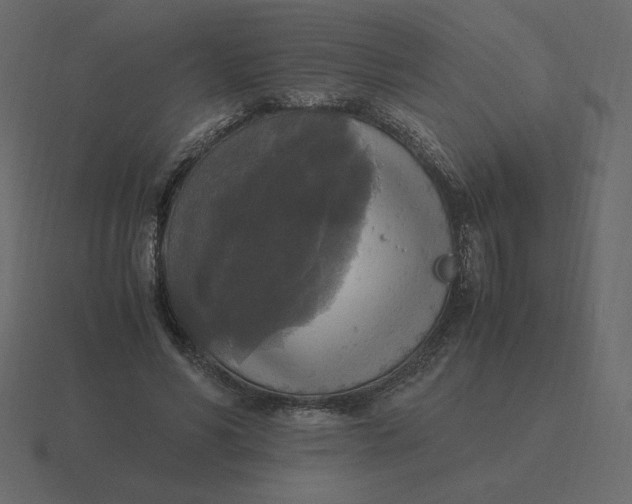 X0000116580590200912241656