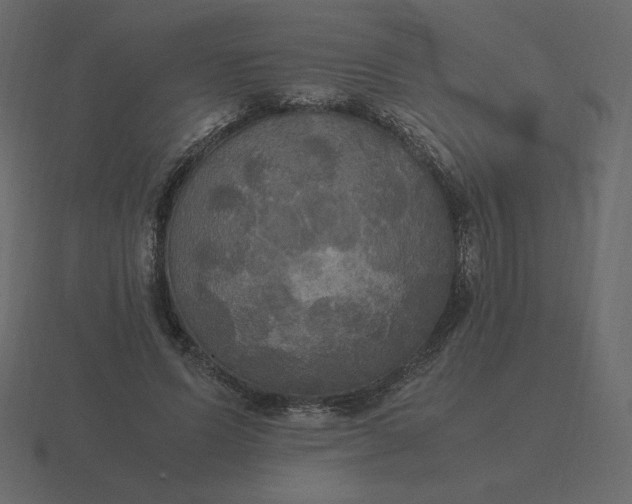 X0000116580591200912241656