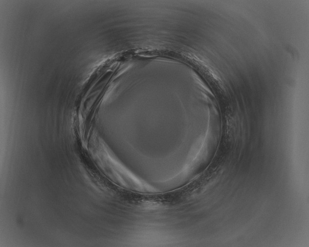 X0000116580592200912241656