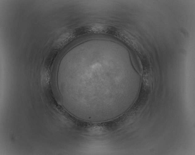 X0000116580593200912241656