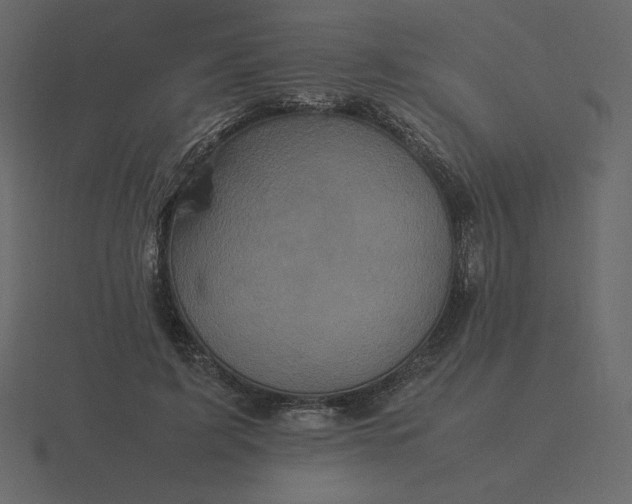 X0000116580595200912241656