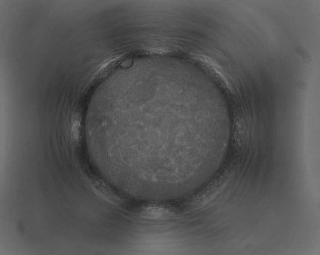 X0000116580596200912241655