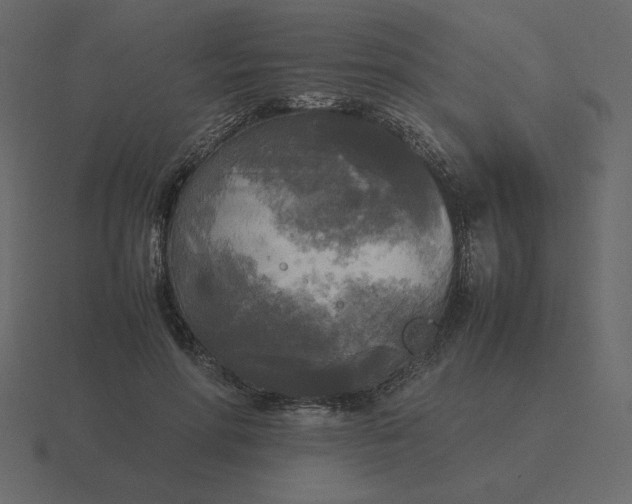 X0000116580598200912241655