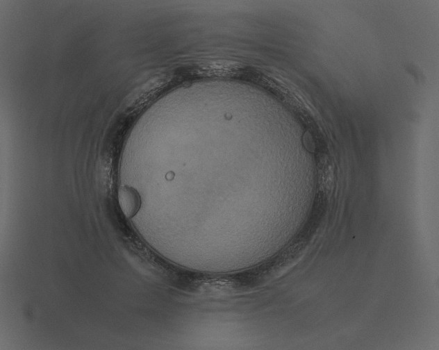 X0000116580599200912241655