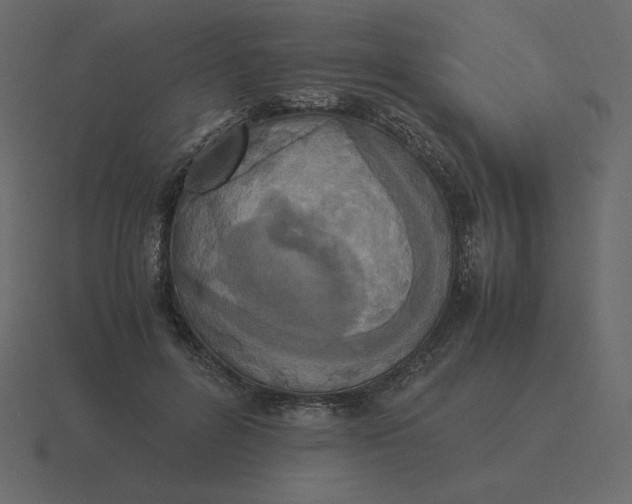 X0000116580600200912241655