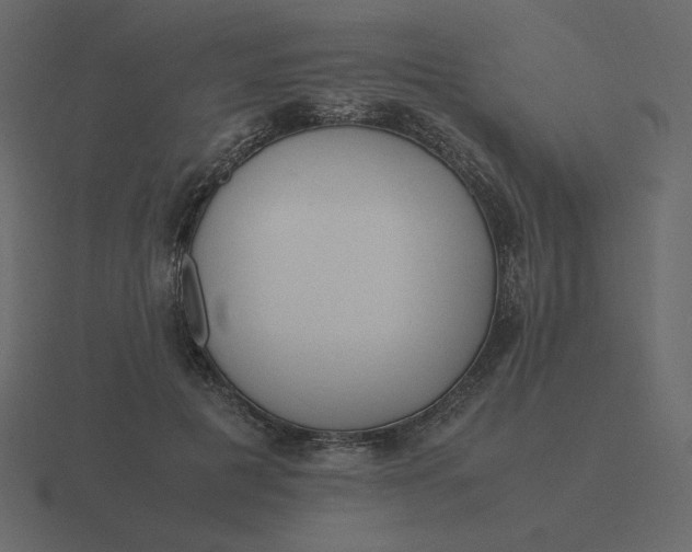 X0000116580601200912241655