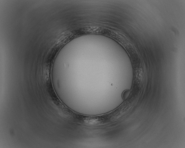 X0000116580602200912241655