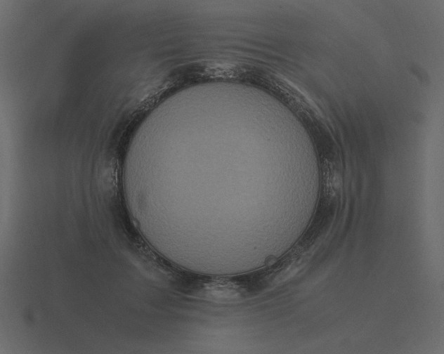 X0000116580603200912241655