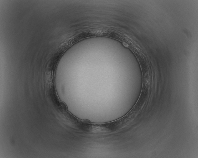 X0000116580605200912241655