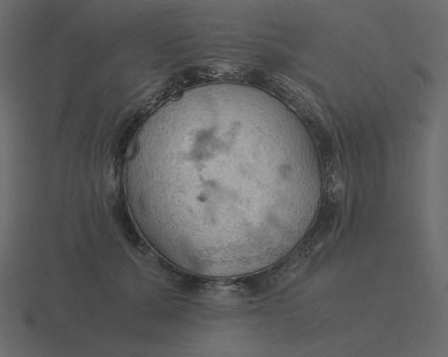 X0000116580607200912241655