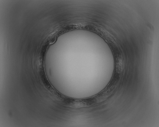 X0000116580608200912241655