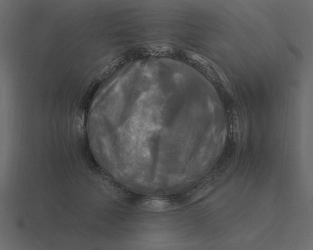 X0000116580610200912241655