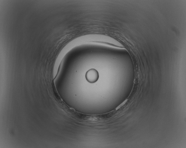 X0000116580611200912241655