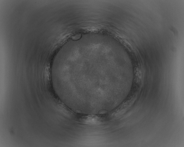 X0000116580612200912241655