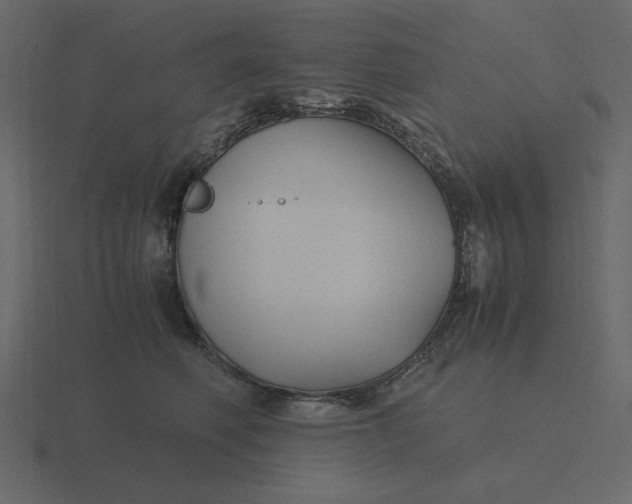 X0000116580614200912241655