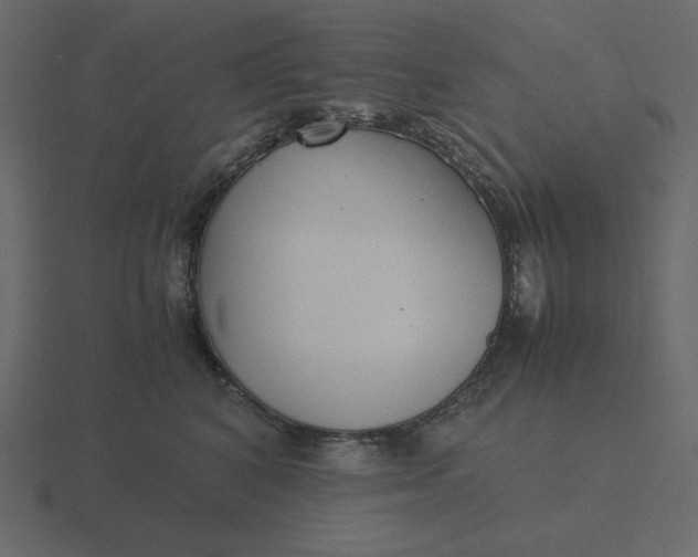 X0000116580616200912241655