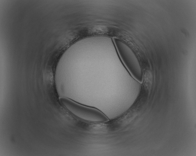 X0000116580617200912241655