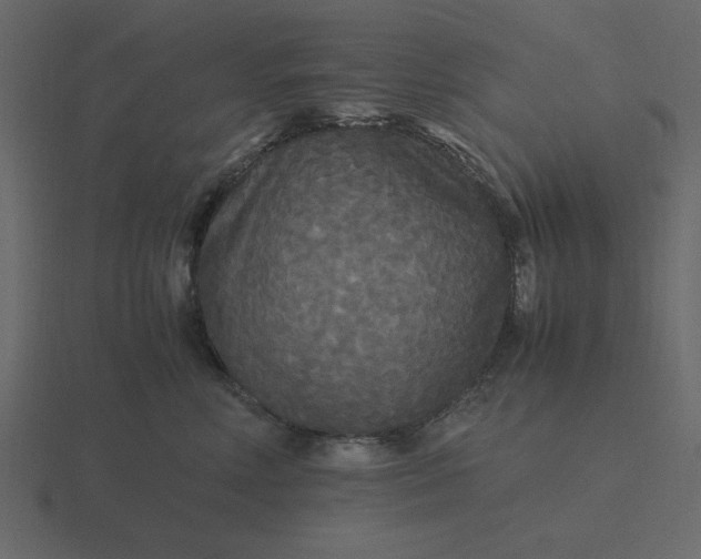 X0000116580618200912241655