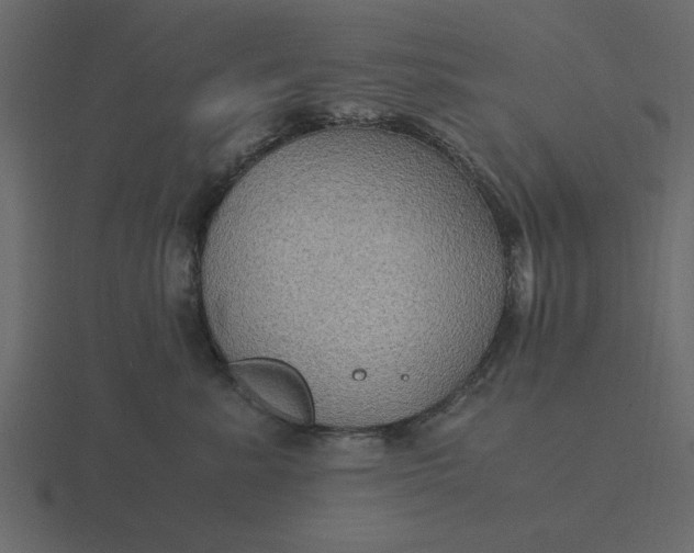 X0000116580619200912241655