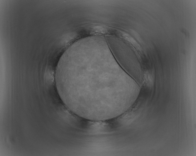 X0000116580621200912241655