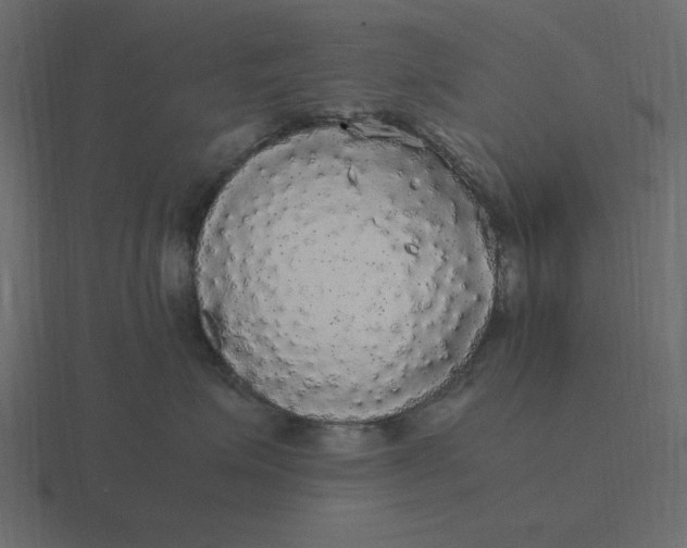 X0000116580623200912241655