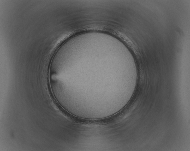 X0000116580625200912241655