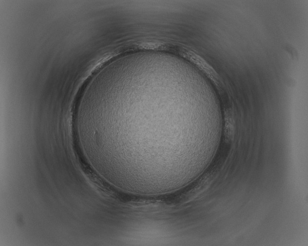 X0000116580626200912241655