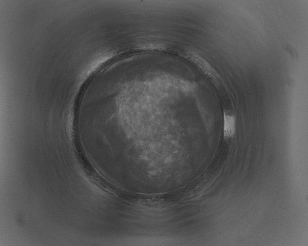 X0000116580627200912241655