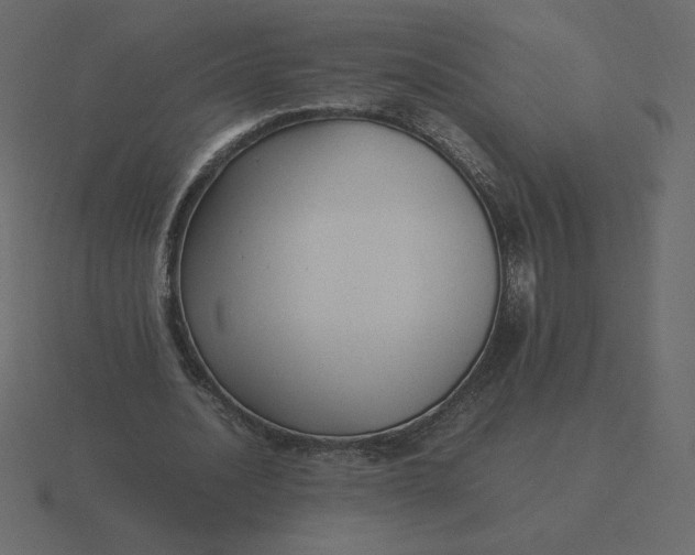 X0000116580628200912241655