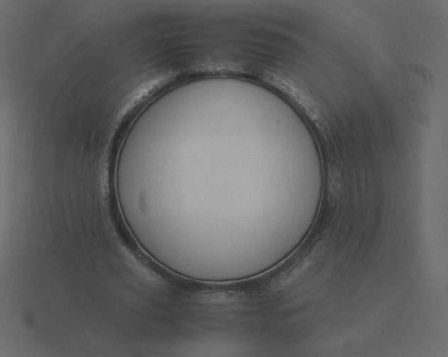 X0000116580629200912241655