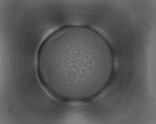 X0000116580630200912241655