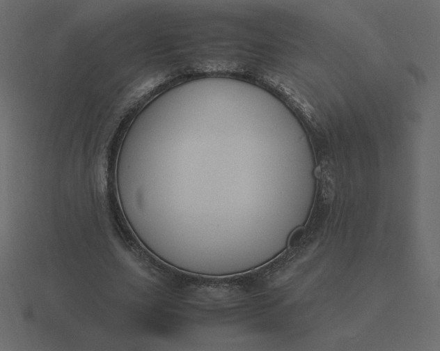 X0000116580631200912241655