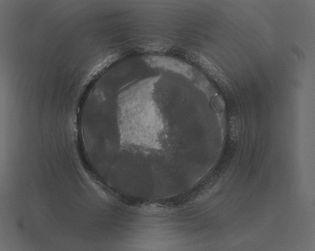 X0000116580634200912241655