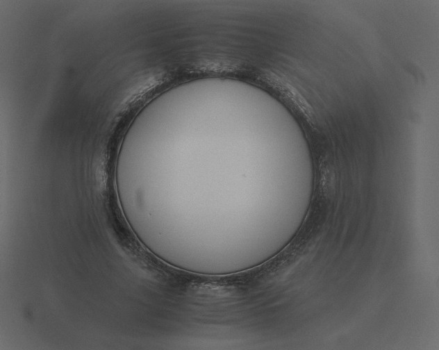 X0000116580635200912241655