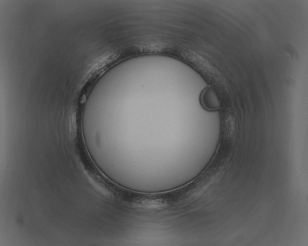 X0000116580638200912241655