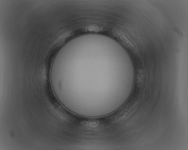 X0000116580639200912241655