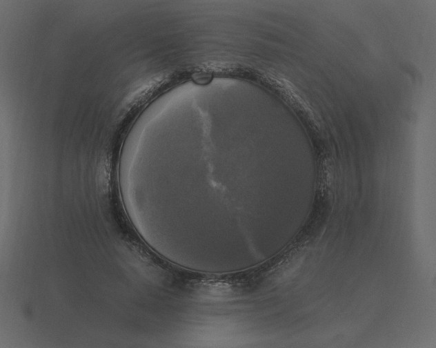 X0000116580640200912241655