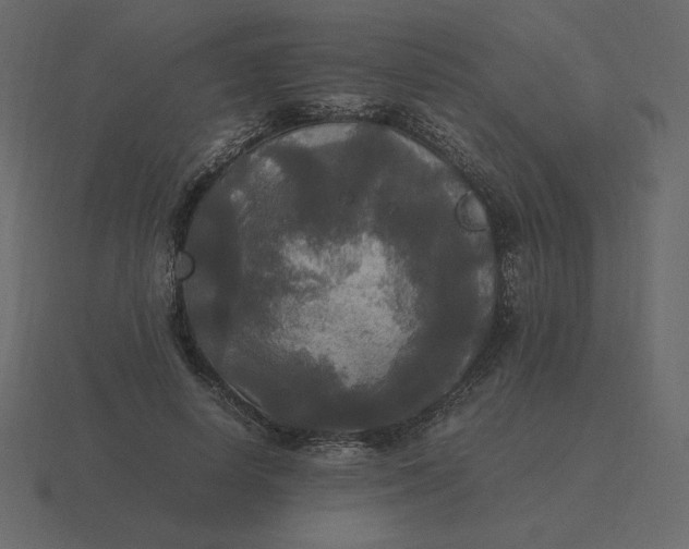 X0000116580642200912241655